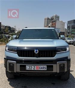 دينزا B8